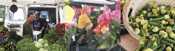 photos from farmers market opening