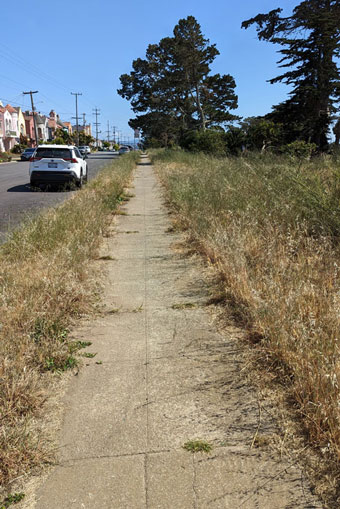 Sunset Boulevard sidewalk