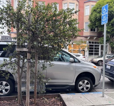 Tree planted in handicapped zone